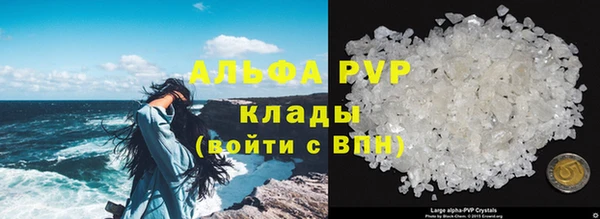 гашик Дегтярск