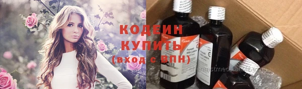 СК Няндома