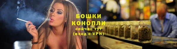 твердый Осинники