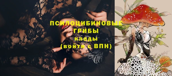 тгк Грязовец