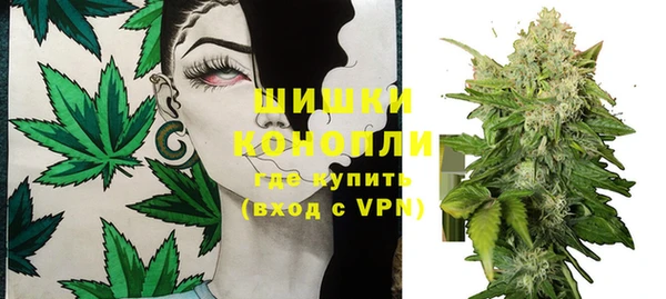 твердый Осинники