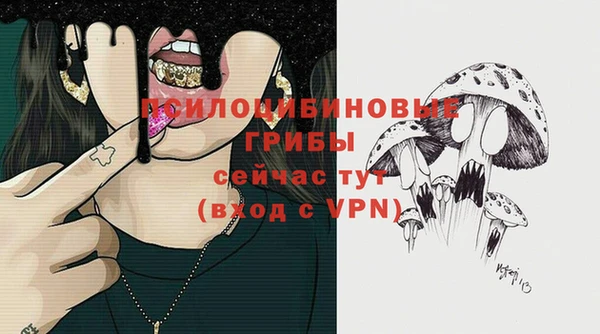 гидра Нягань