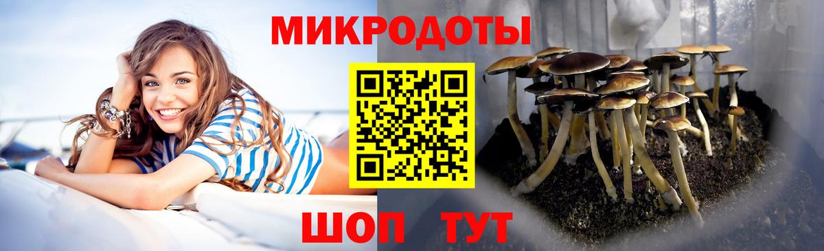Тосно  Галлюциногенные грибы мицелий  где продают   Вход с VPN 
